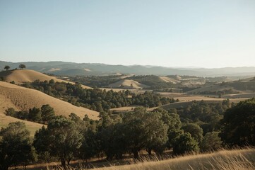 Golden hills, valley sunrise, peaceful landscape, travel brochure