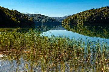 Plitvice Lakes National Park in Croatia, showcasing vibrant waterfalls, crystal-clear lakes, and lush greenery. Captured in this stunning natural landscape.