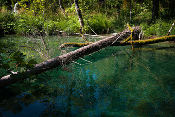 Plitvice Lakes National Park in Croatia, showcasing vibrant waterfalls, crystal-clear lakes, and lush greenery. Captured in this stunning natural landscape.