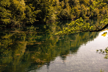 Plitvice Lakes National Park in Croatia, showcasing vibrant waterfalls, crystal-clear lakes, and lush greenery. Captured in this stunning natural landscape.