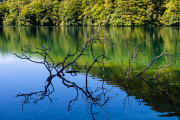 Plitvice Lakes National Park in Croatia, showcasing vibrant waterfalls, crystal-clear lakes, and lush greenery. Captured in this stunning natural landscape.