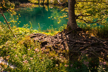 Plitvice Lakes National Park in Croatia, showcasing vibrant waterfalls, crystal-clear lakes, and lush greenery. Captured in this stunning natural landscape.