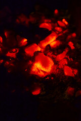 burning fire in the fire