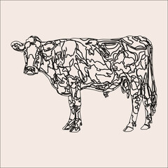 Cow illustrationanimal with horns and udder color backgroud