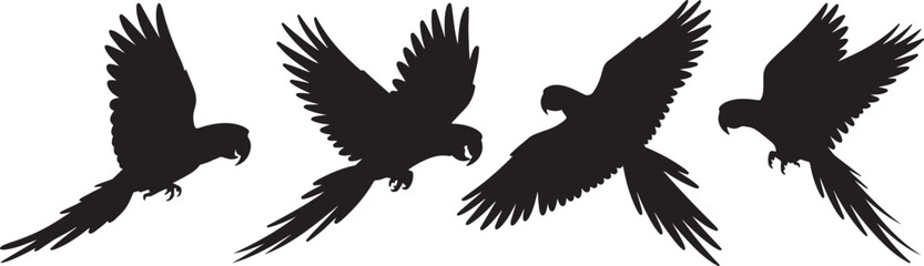 Flying macaw parrot silhouette vector graphic design element illustration set