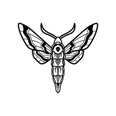 moth insect line art illustration. moth silhouette line art vector illustration with a white background