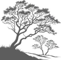 Obraz premium Detailed Line Drawing of Tall Slender Trees with Intricate Branch and Leaf Patterns – Soft Gray Lines on White Background Vector Illustration