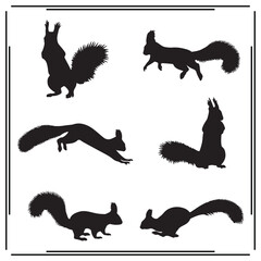 Set of Squirrel Silhouettes, Jumping, Running, Sitting, Black Silhouettes on White Background, Squirrel Icons for Nature and Wildlife Illustrations