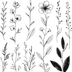 Minimalist abstract flower and leaf vector set, ink brush line art style, doodle floral botanical silhouettes, black paint on white background, hand drawn illustration 1