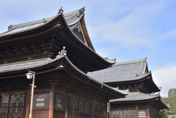 妙心寺　佛殿と法堂(京都市右京区)