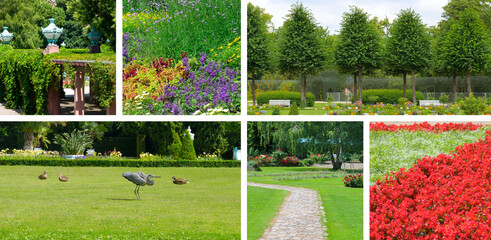 Obraz premium Collection of Beautiful Park Scenes. Wide photo.