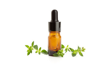 Oregano essential oil and fresh oregano leaves isolated on white background. Origanum vulgare oil