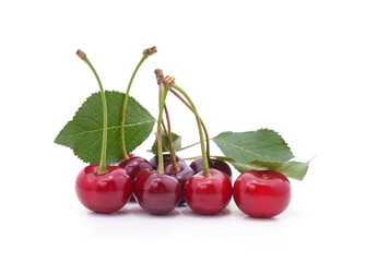 Bunch of ripe cherries on green leaves.
