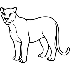 Cougar vector line art on white background