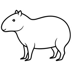 Capybara vector line art on white background