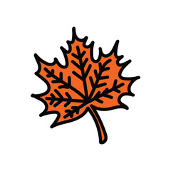Orange maple leaf. Hand drawn design.
