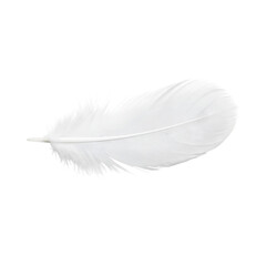 Obraz premium feather isolated on white transparent background
