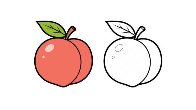 Peach fruit illustration vector isolated transparent PNG, fresh organic peach clipart, juicy sweet fruit drawing with leaf, healthy summer food design, outline coloring page
