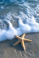 Starfish on sandy beach with ocean waves