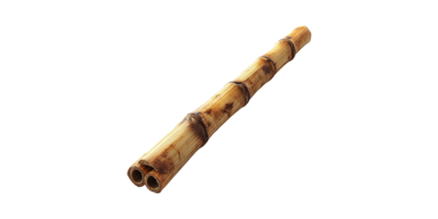 Sugarcane Stick. Natural Sweetener And Renewable Resource Isolated On Transparent Background