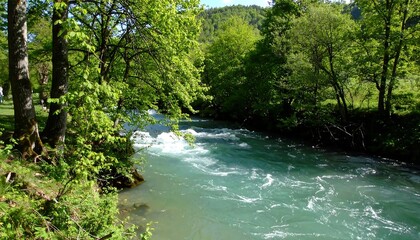 Obraz premium A tranquil river winds through a lush green forest, showcasing vibrant foliage and sparkling, clear water.