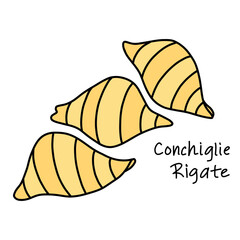 Striped Shells doodle illustration of Italian pasta Conchiglie Rigate in doodle style
