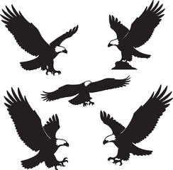 Fototapeta premium Eagles soaring and landing silhouettes bird flying