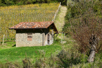 A typical &lsquo;ciabot&rsquo;, a small rural shelter, in a vineyard in the Langhe hills, Unesco World Heritage Site, in autumn, Treiso (Cuneo), Piedmont, 