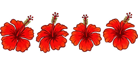 Obraz premium Four Red Hibiscus Flowers in a Row