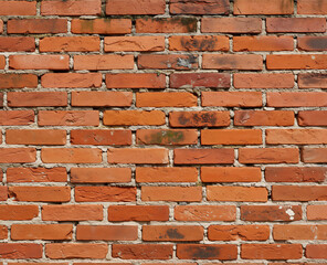 Obraz premium Old worn brick wall texture, background