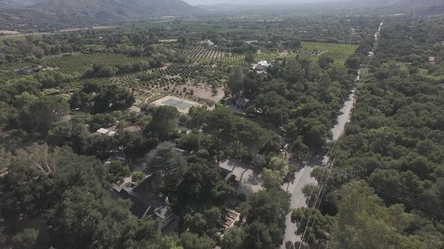 Ojai Scenic Road Aerial &mdash; Drone follows a road through an oak canopy revealing the valley, RAW D-Log ungraded footage