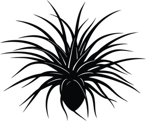 Air Plant Silhouette, Air Plant Vector Design