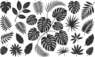 Set of 32 Tropical Exotic Leaf Silhouettes for Botanical Design, Jungle Theme, Nature Decor, Vector Illustration, Black and White Art
