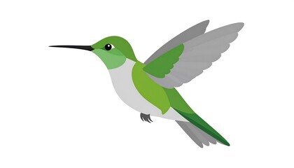 Fototapeta premium Elegant hummingbird illustration in vibrant green and gray against white background showcases