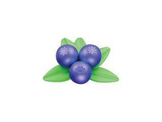Fototapeta premium blueberry icon 3d illustration render