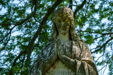 Obraz premium A weathered stone statue of a praying figure, surrounded by natural green foliage, viewed from below, emphasizing its serene presence and ancient beauty against the bright sky.