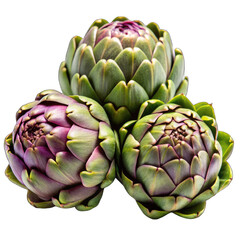 Obraz premium artichoke on green background