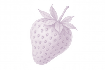 Pastel purple strawberry illustration, hand-drawn with delicate linework, ripe fruit silhouetted against transparent backdrop