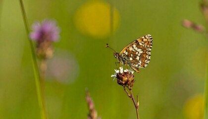 A butterfly with intricate patterns rests gracefully on a delicate flower, showcasing a soft, muted palette of greens, yellows, and purples.