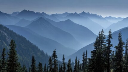 Tranquil Northwest Mountains: Misty Peaks Surrounded by Blue Sky and Lush Coniferous Forest