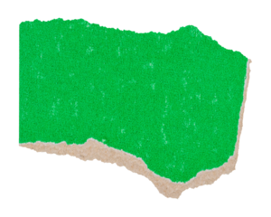 Green torn abstract shape piece of cardboard, isolated blank scrap element