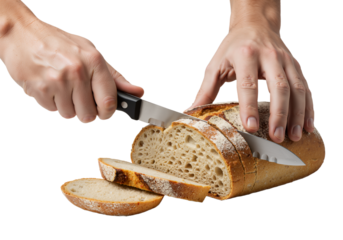 Human hands using a serrated knife to carefully slice a fresh loaf of artisanal bread on a transparent background