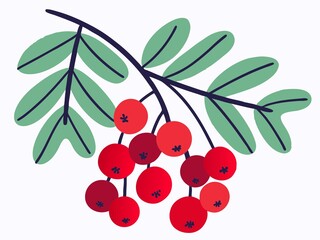 Playful vector illustration of a rowan tree branch with red berries and green leaves in a simple, flat doodle style. Ideal for seasonal projects, botanical stickers, natural product packaging