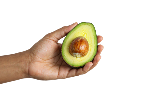 Fresh avocado held in hand showcasing healthy eating and lifestyle choices