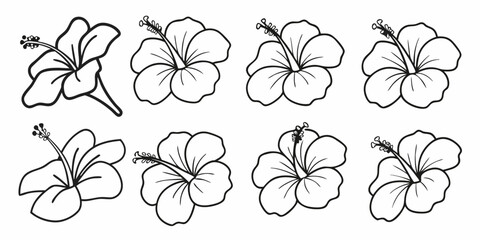 Collection of eight black and white hibiscus flower line art illustrations.