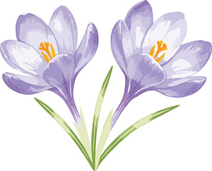 Naklejka premium Purple Crocus Flower Vector | Spring Floral Illustration