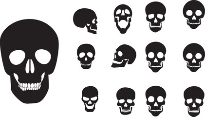 set of skulls vector illustration