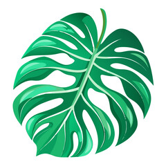 green leaf icon