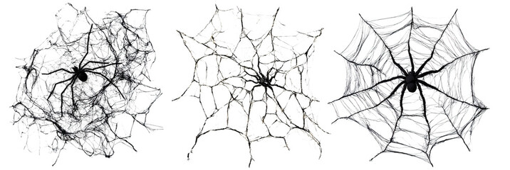 Realistic black spiders on detailed cobwebs with eerie textures. Each web shows unique patterns of silk threads. Dark background enhances the creepy Halloween theme.