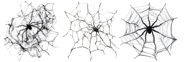 Realistic black spiders on detailed cobwebs with eerie textures. Each web shows unique patterns of silk threads. Dark background enhances the creepy Halloween theme.